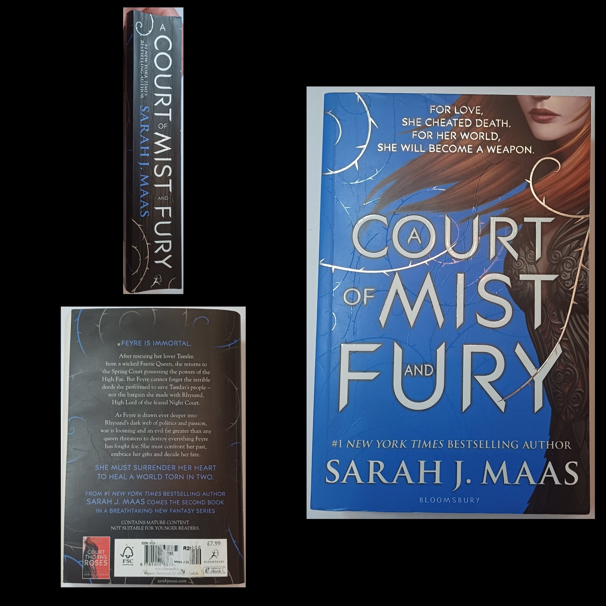 A Court of Mist and Fury, Sarah J. Maas