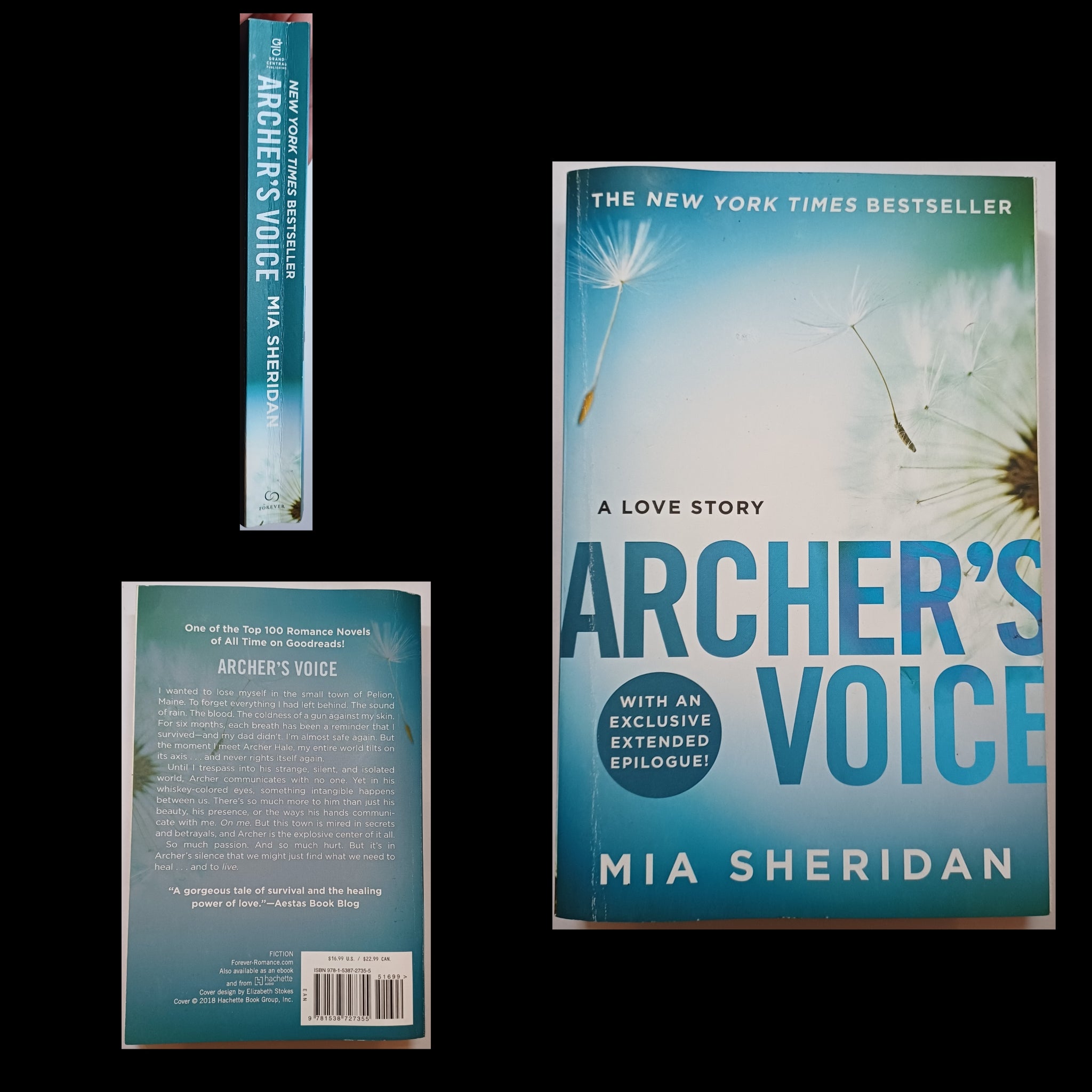 Archer's Voice, Mia Sheridan