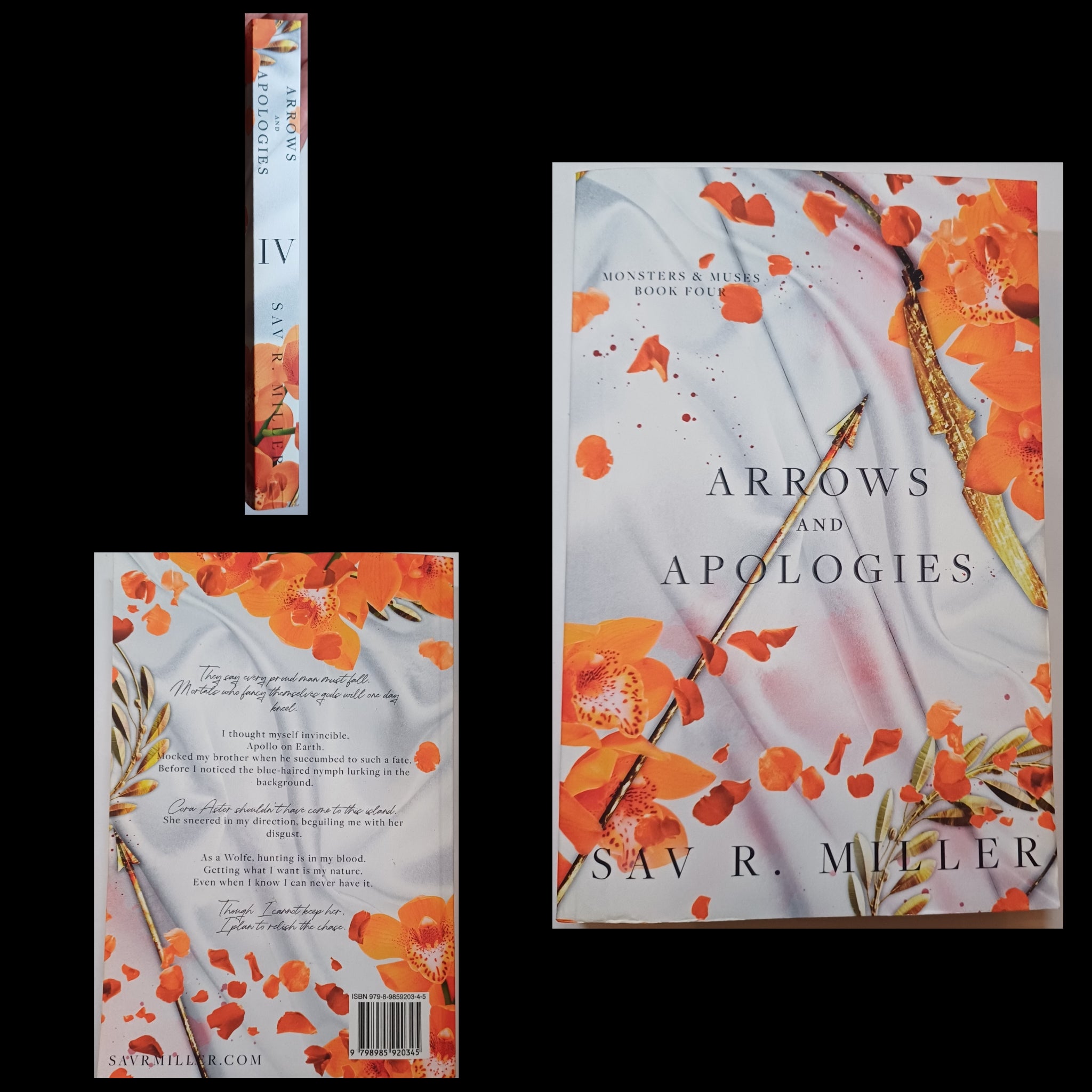 Arrows and Apologies, Sav R. Miller