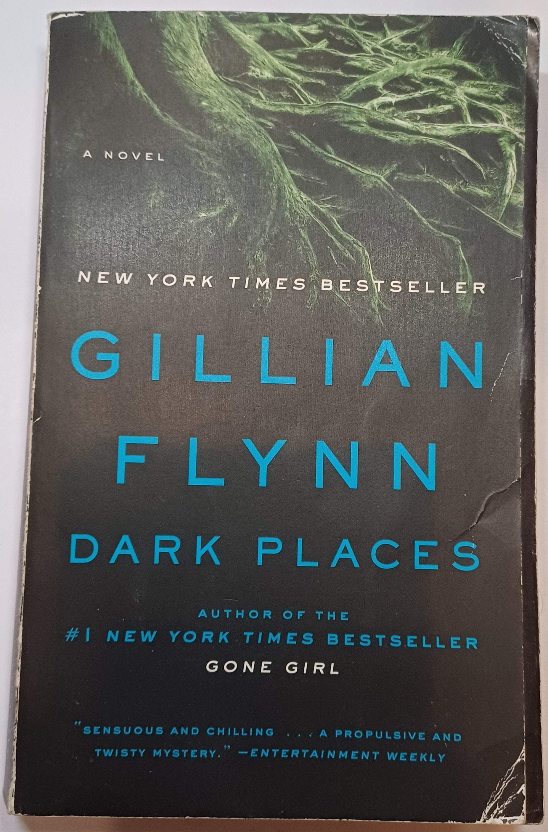Dark Places, Gillian Flynn