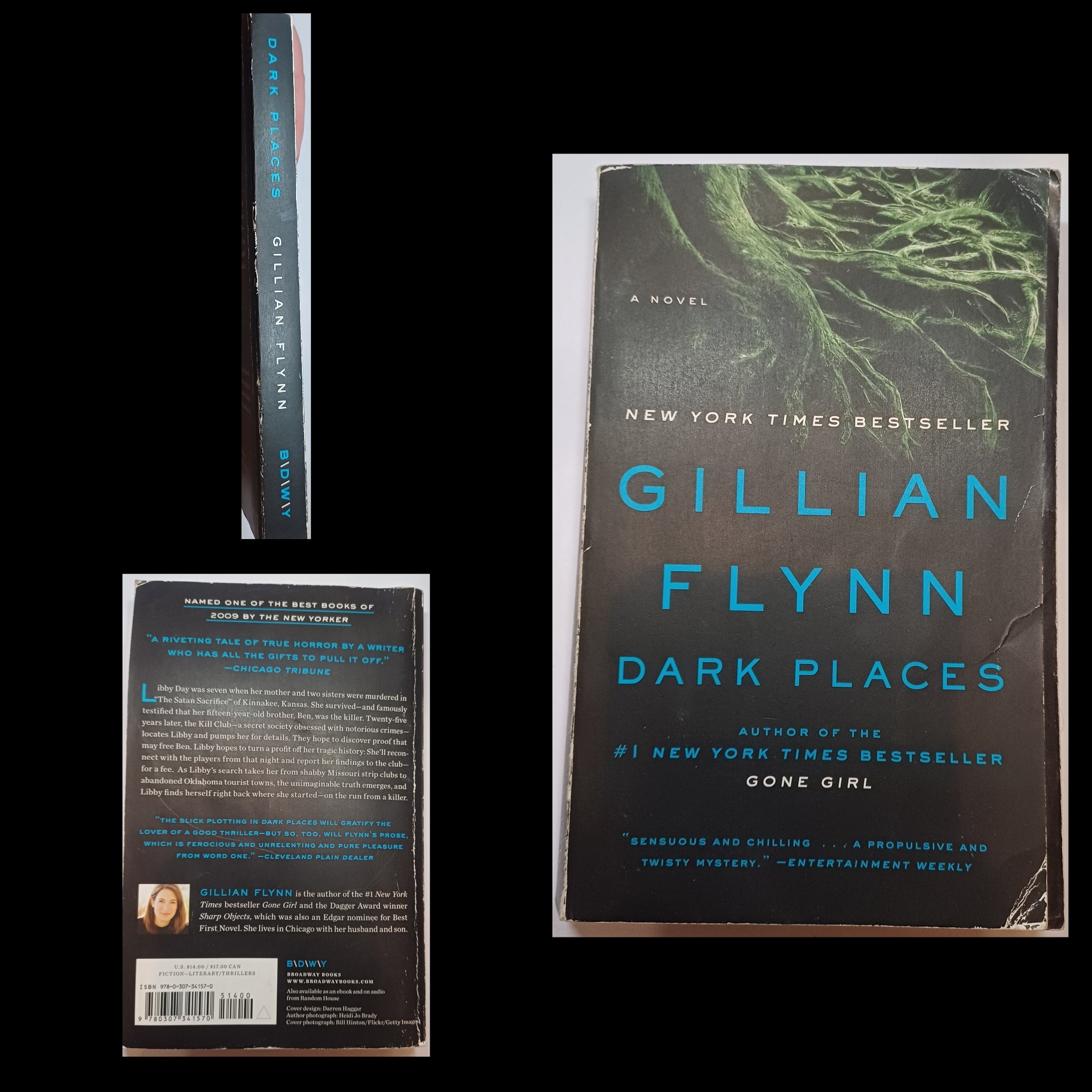Dark Places, Gillian Flynn